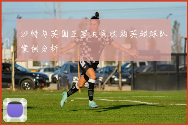 沙特与英国王室共同收购英超球队案例分析